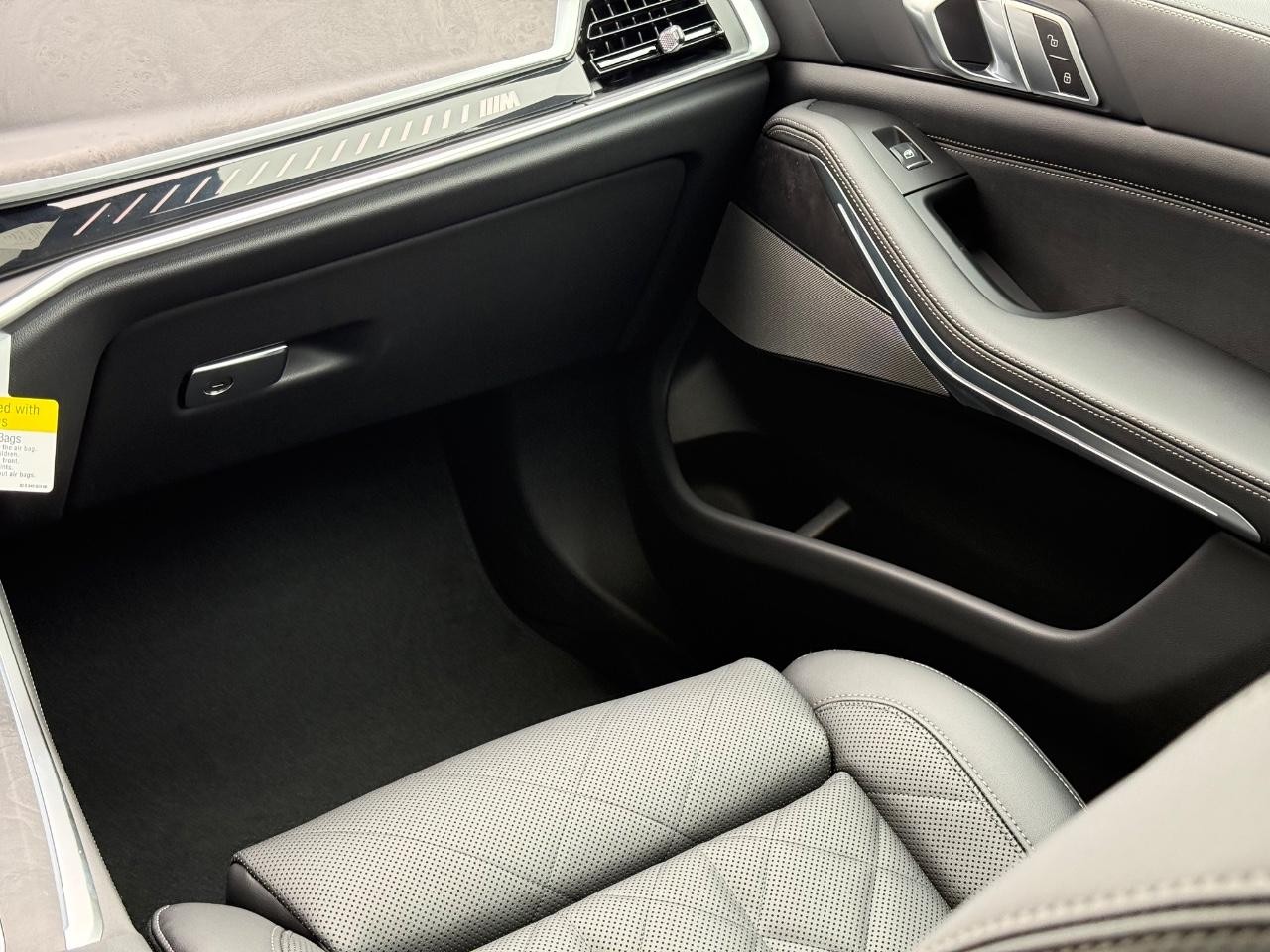 BMW X5 Vehicle Image 10