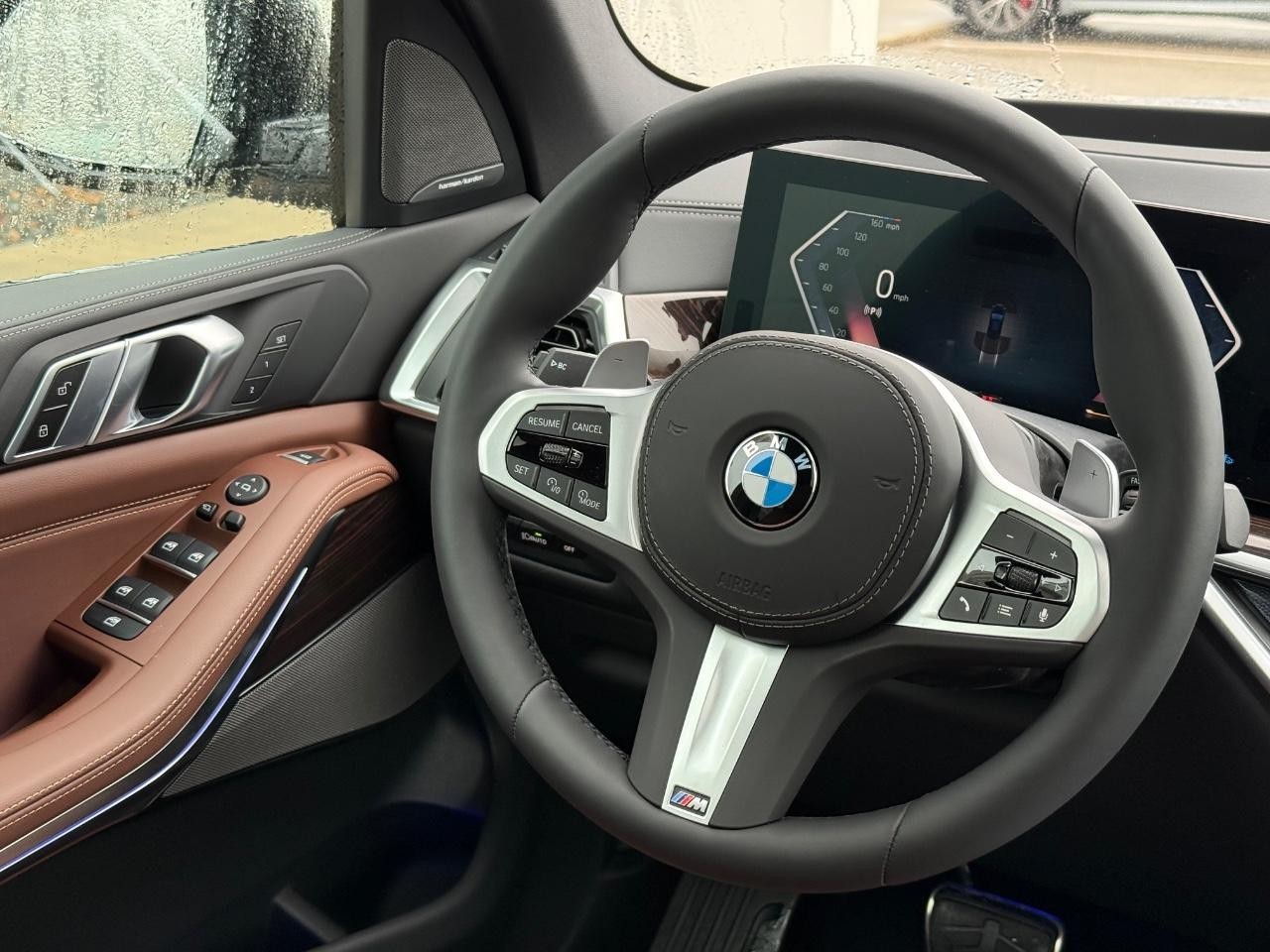 BMW X5 Vehicle Image 09