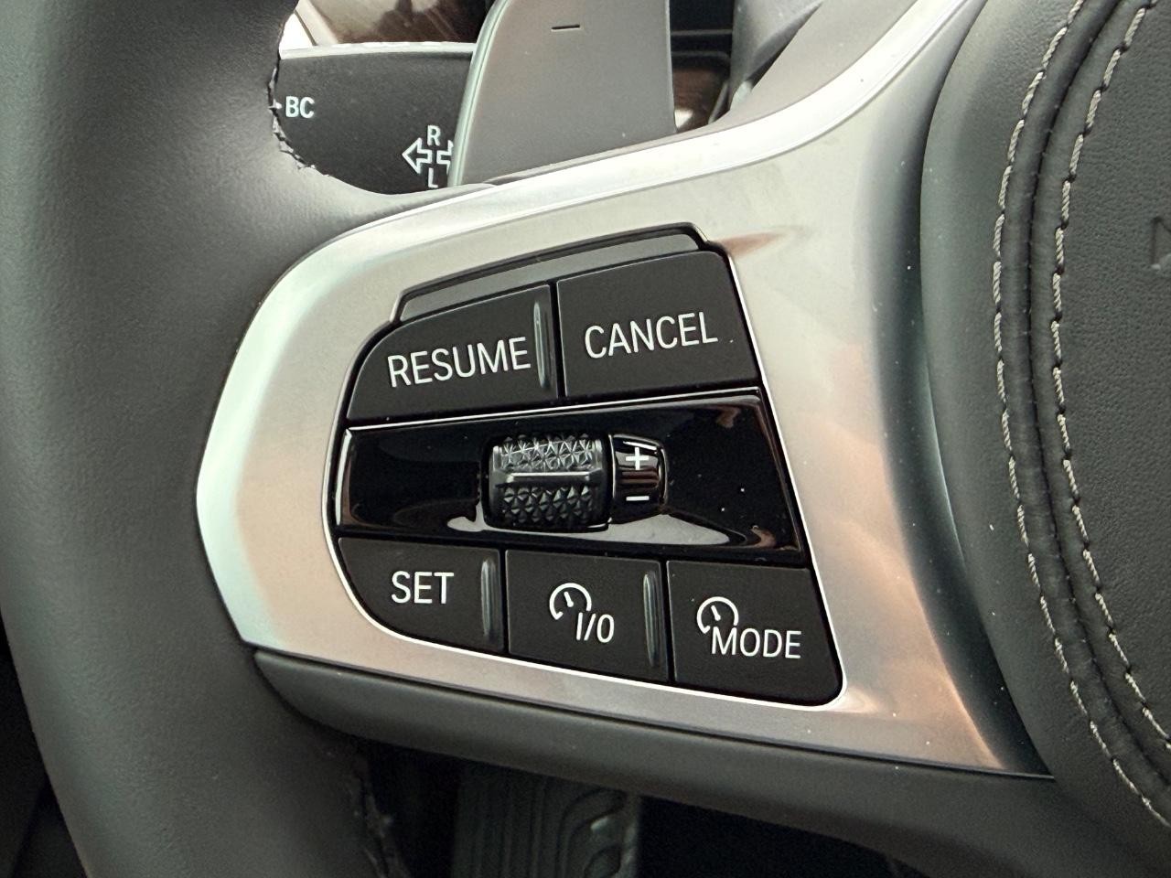 BMW X5 Vehicle Image 12