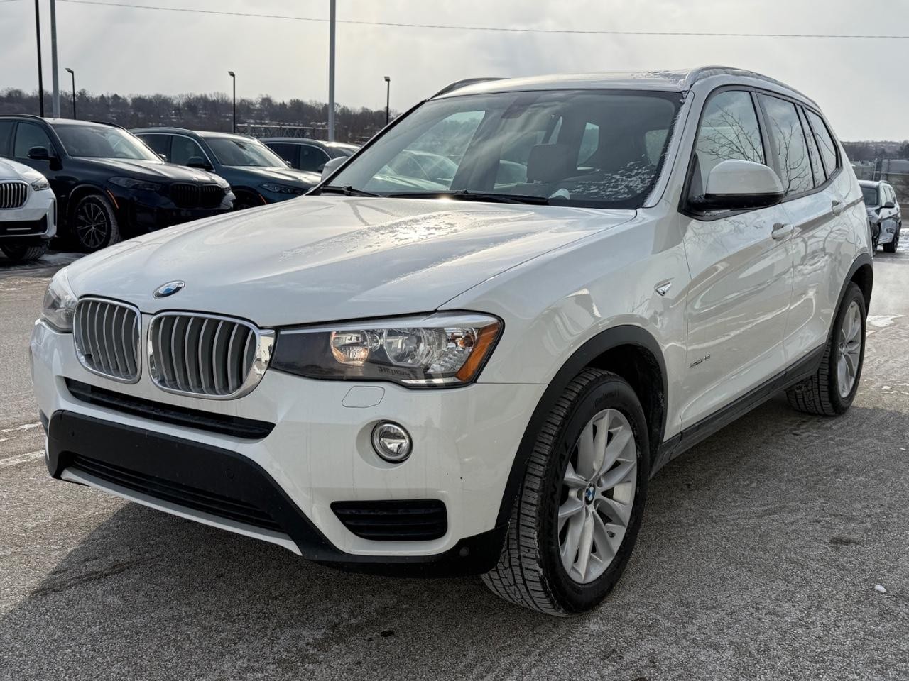 BMW X3 Vehicle Image 07