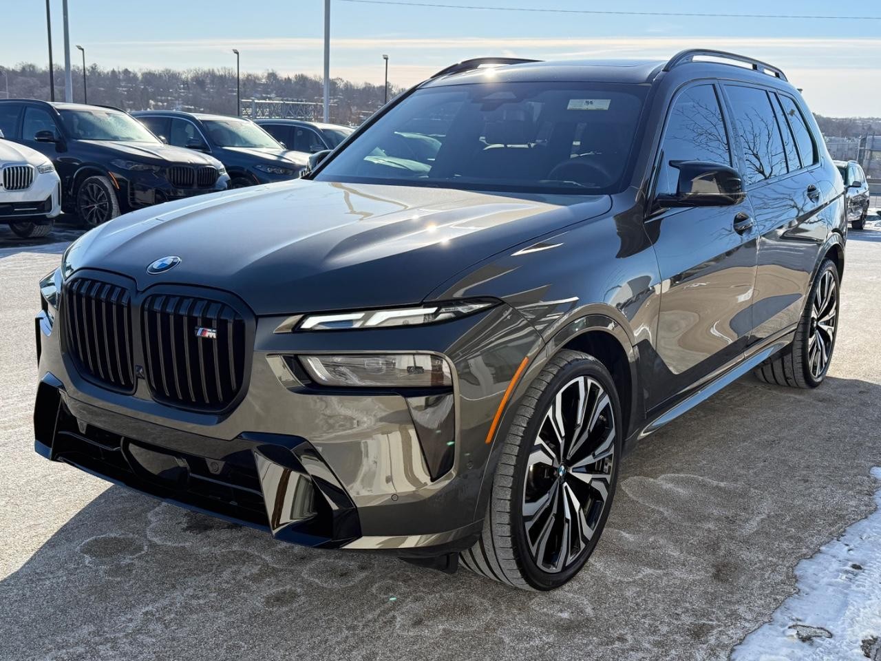 BMW X7 Vehicle Image 07