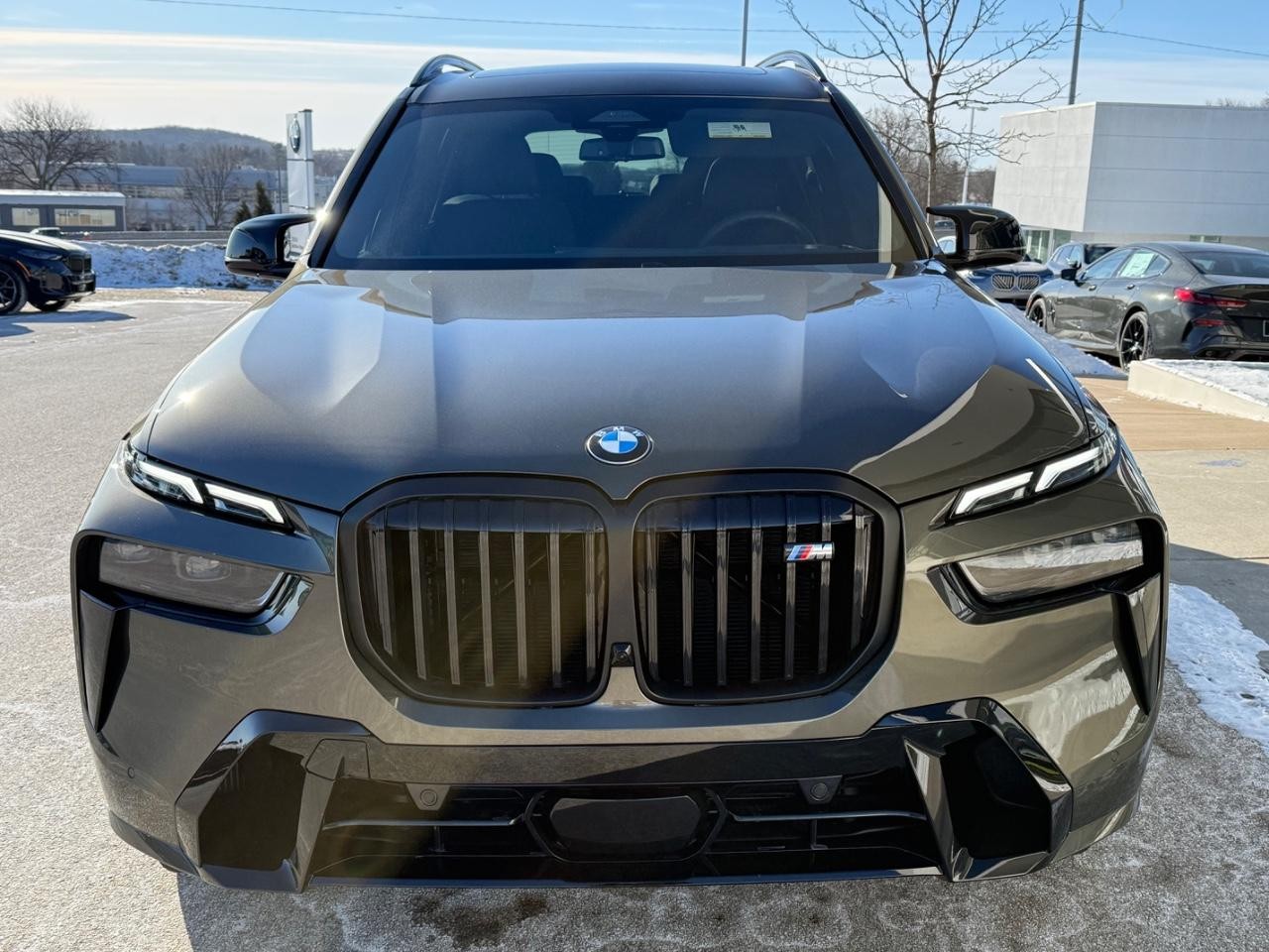BMW X7 Vehicle Image 08