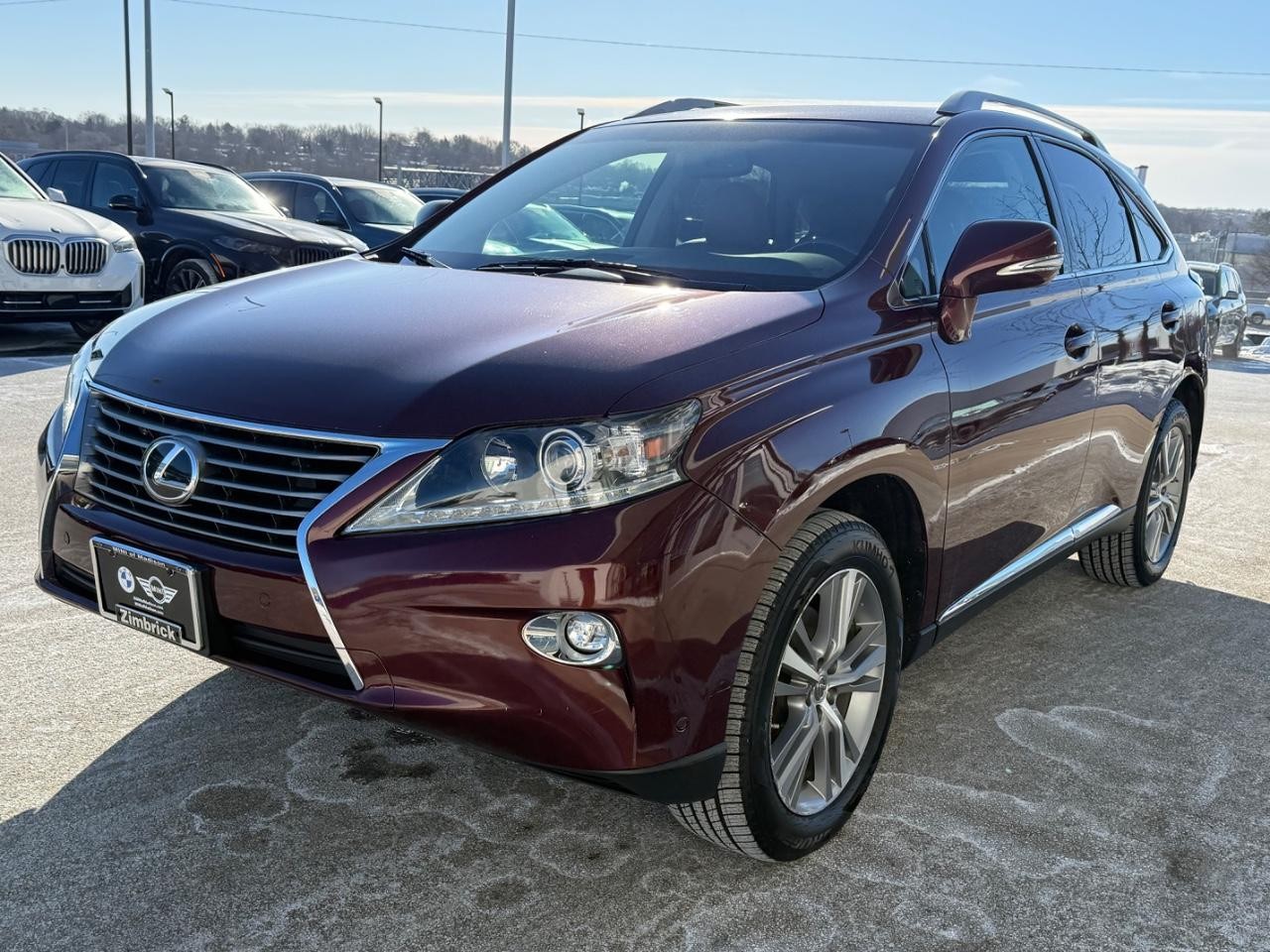 Lexus RX 350 Vehicle Image 08