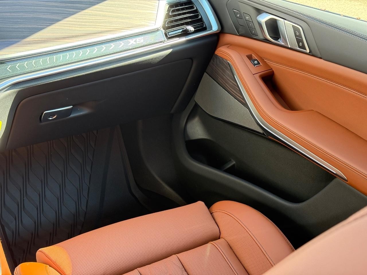 BMW X5 Vehicle Image 10