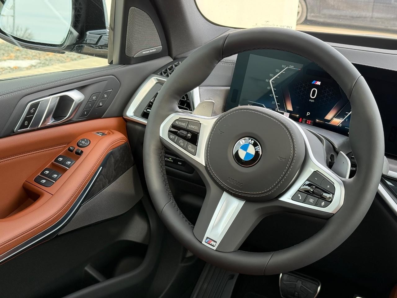 BMW X5 Vehicle Image 09