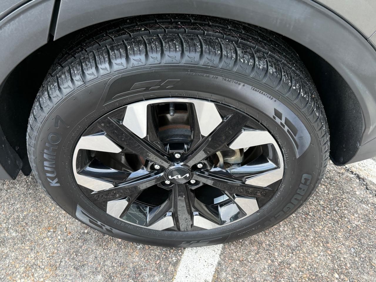 Kia Sportage Vehicle Image 07