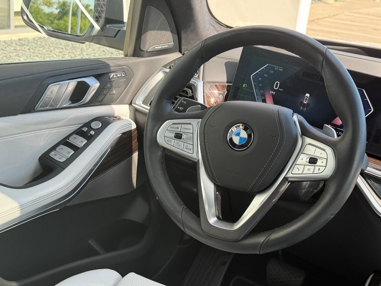 BMW X7 Vehicle Image 09