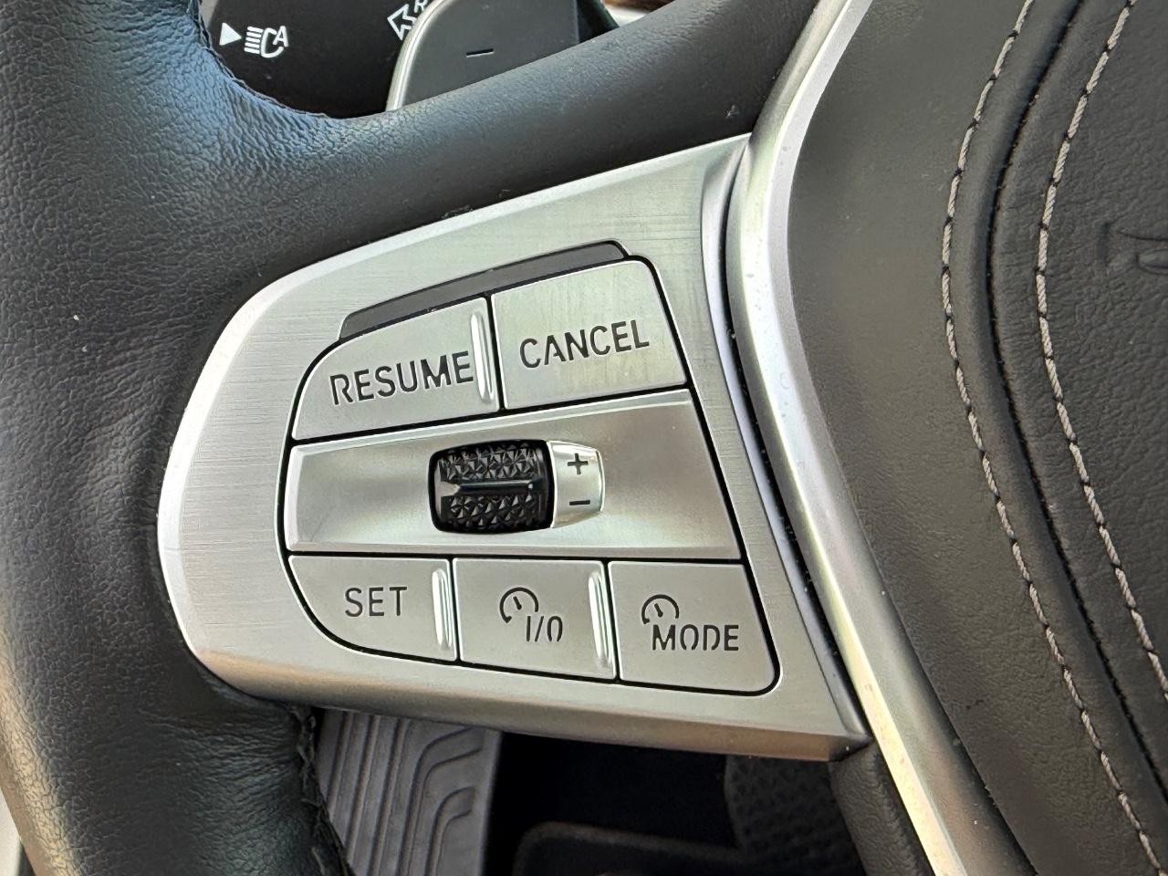 BMW X7 Vehicle Image 12