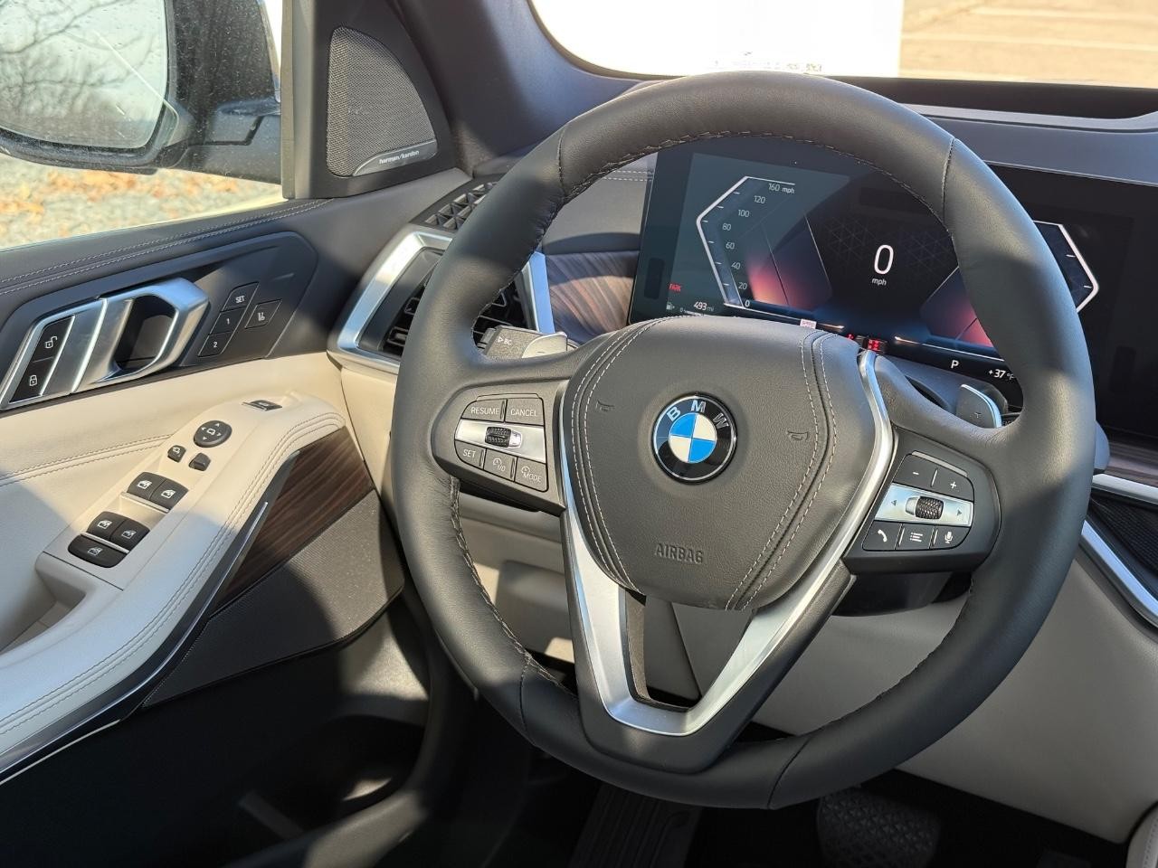 BMW X5 Vehicle Image 09