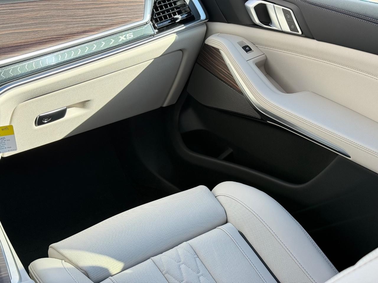 BMW X5 Vehicle Image 10