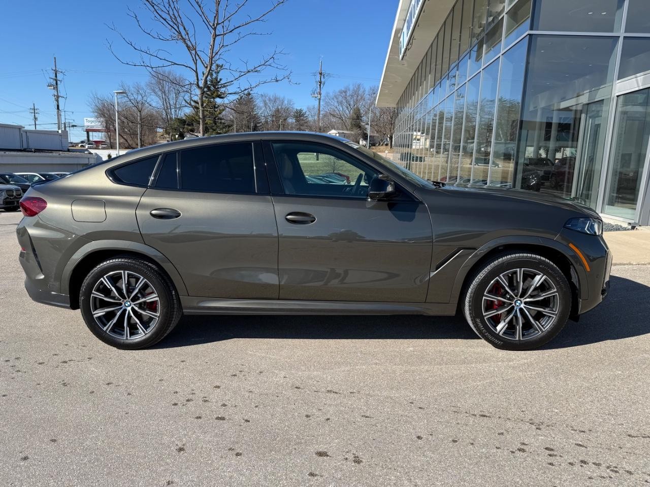 BMW X6 Vehicle Image 02