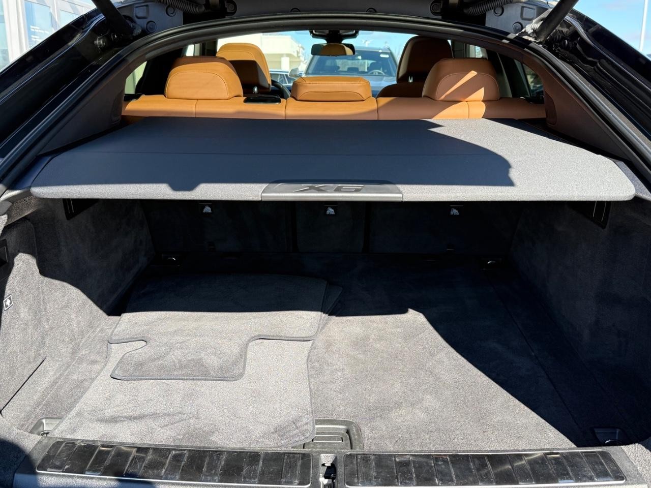 BMW X6 Vehicle Image 05