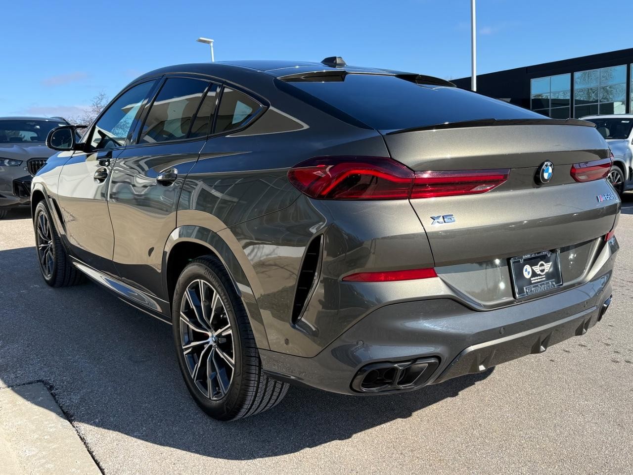 BMW X6 Vehicle Image 06