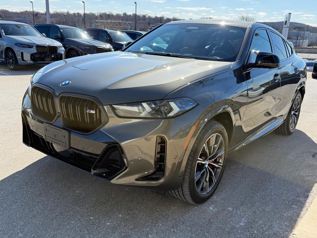 BMW X6 Vehicle Image 08