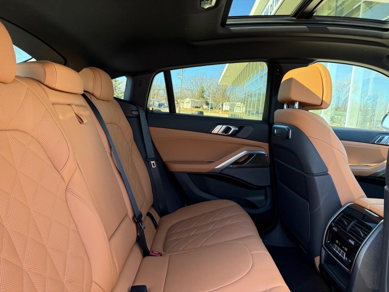 BMW X6 Vehicle Image 10