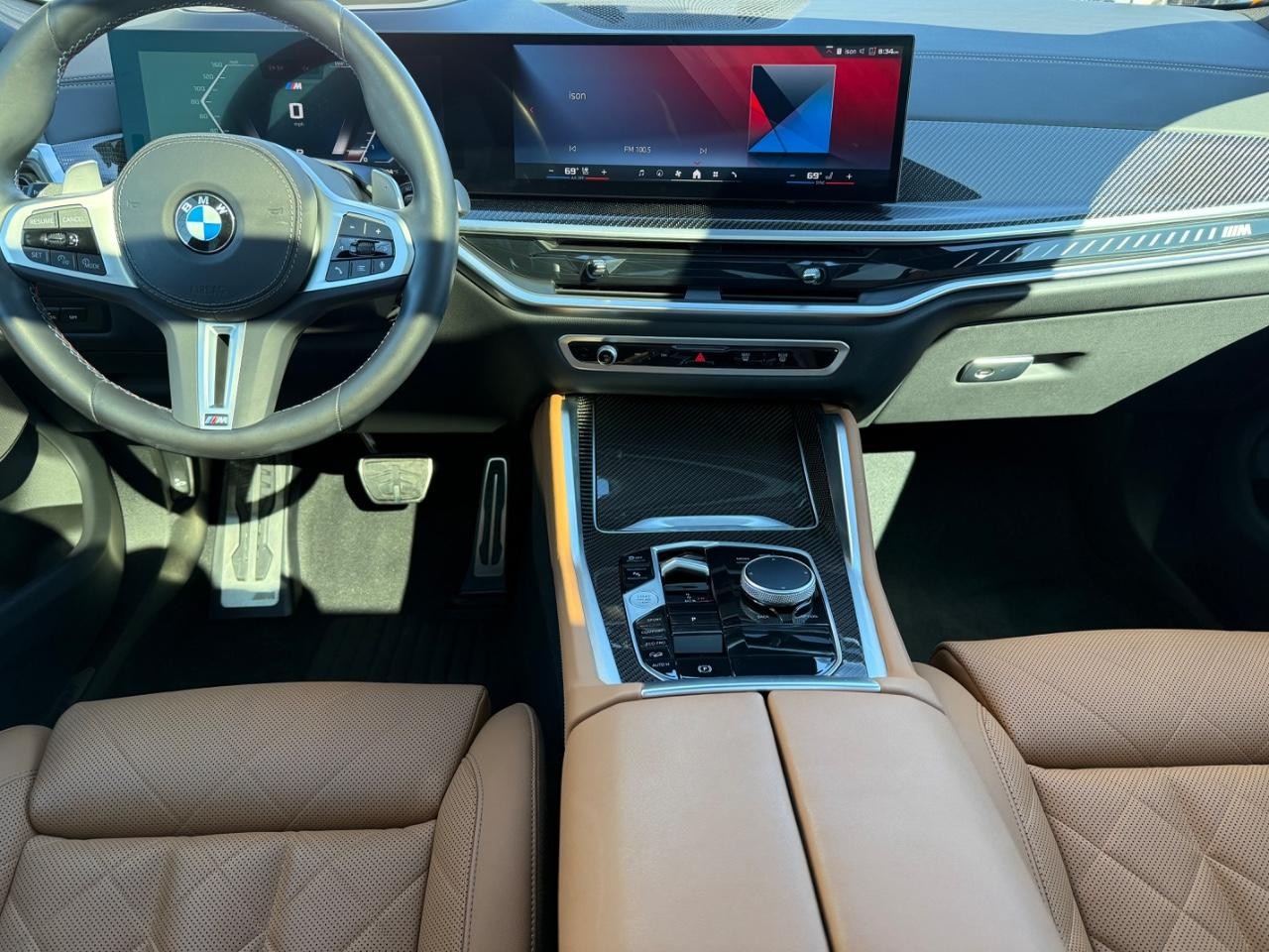 BMW X6 Vehicle Image 11