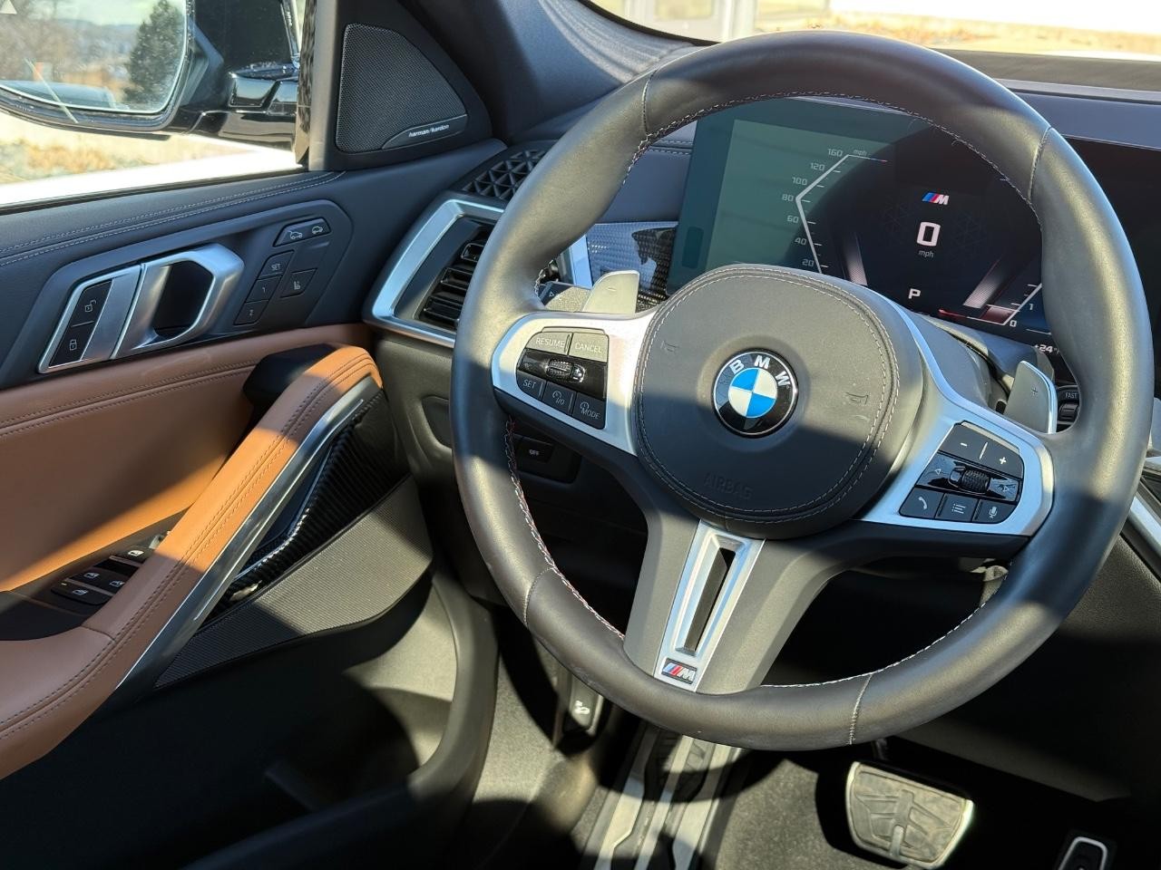 BMW X6 Vehicle Image 14