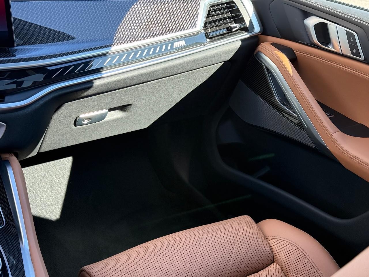 BMW X6 Vehicle Image 15