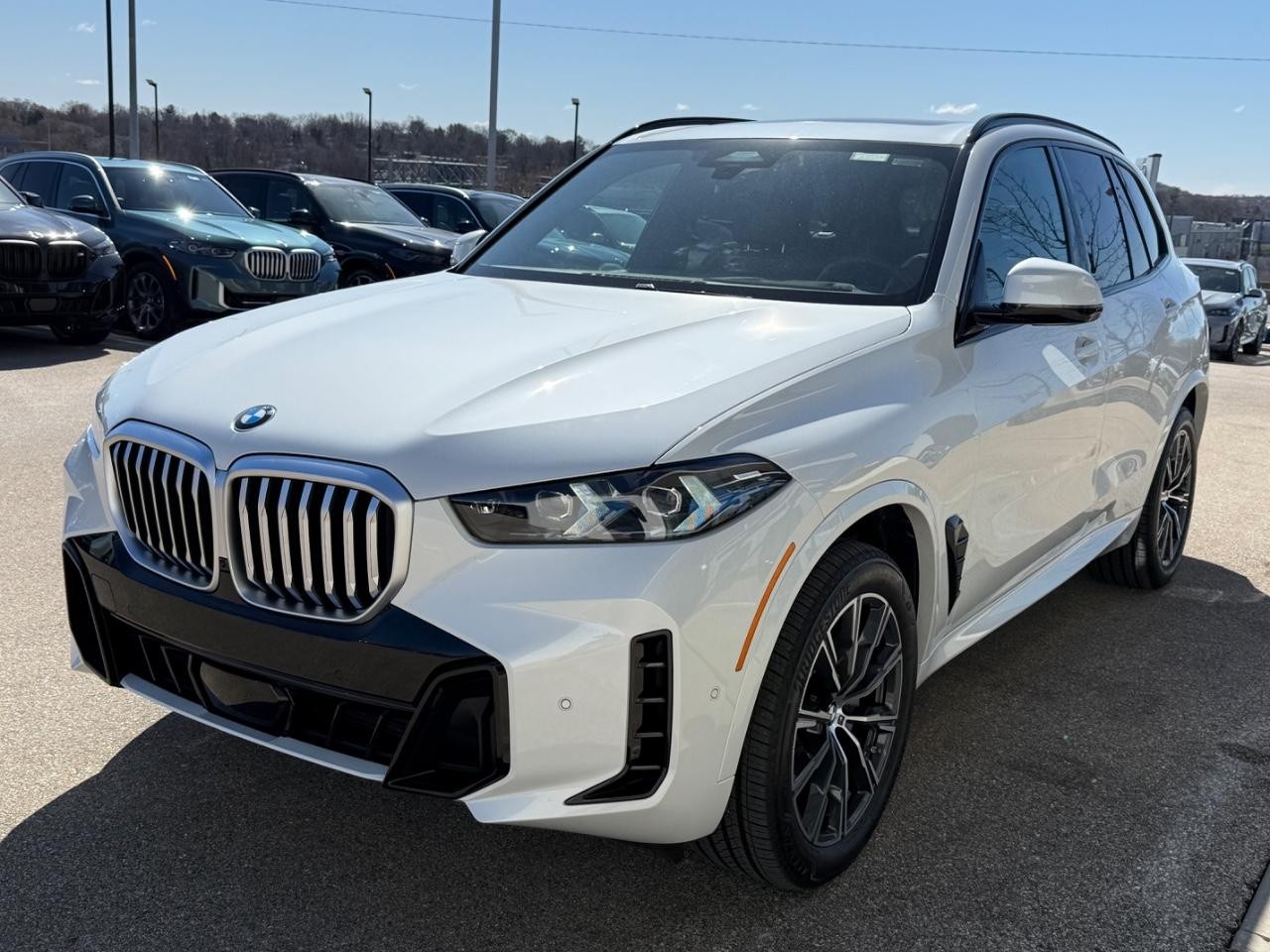 BMW X5 Vehicle Image 08