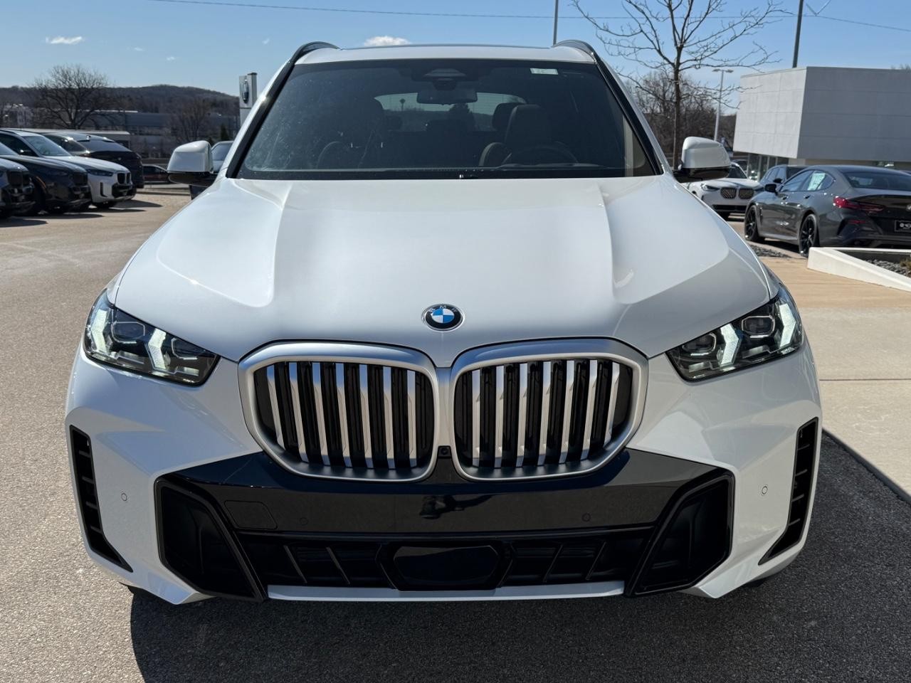 BMW X5 Vehicle Image 09