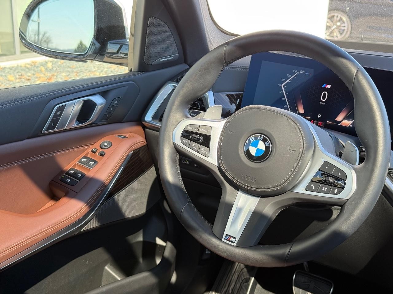 BMW X5 Vehicle Image 15