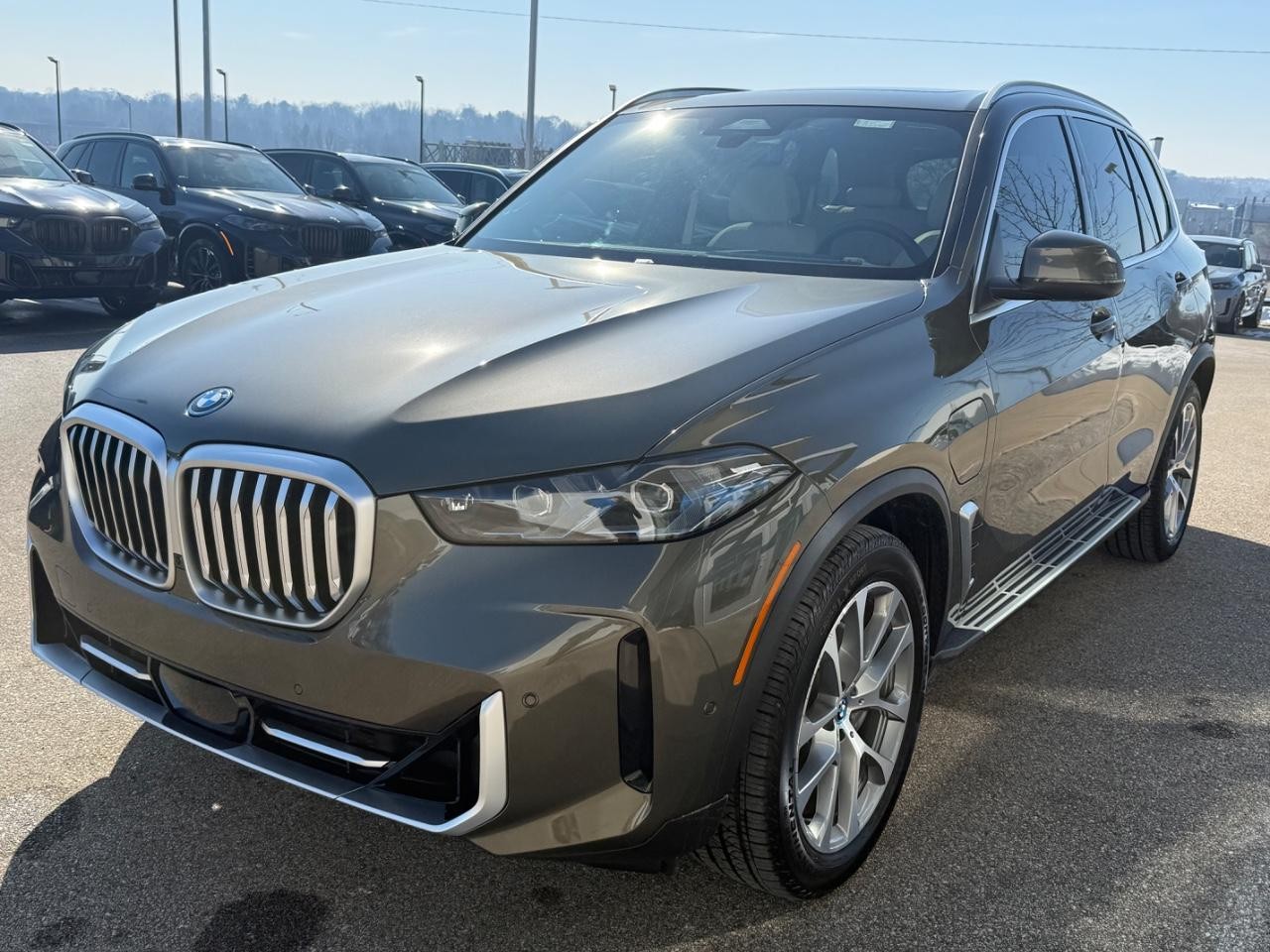 BMW X5 Vehicle Image 08