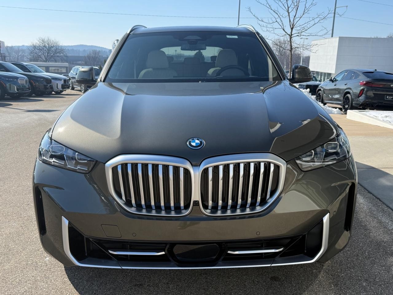 BMW X5 Vehicle Image 09