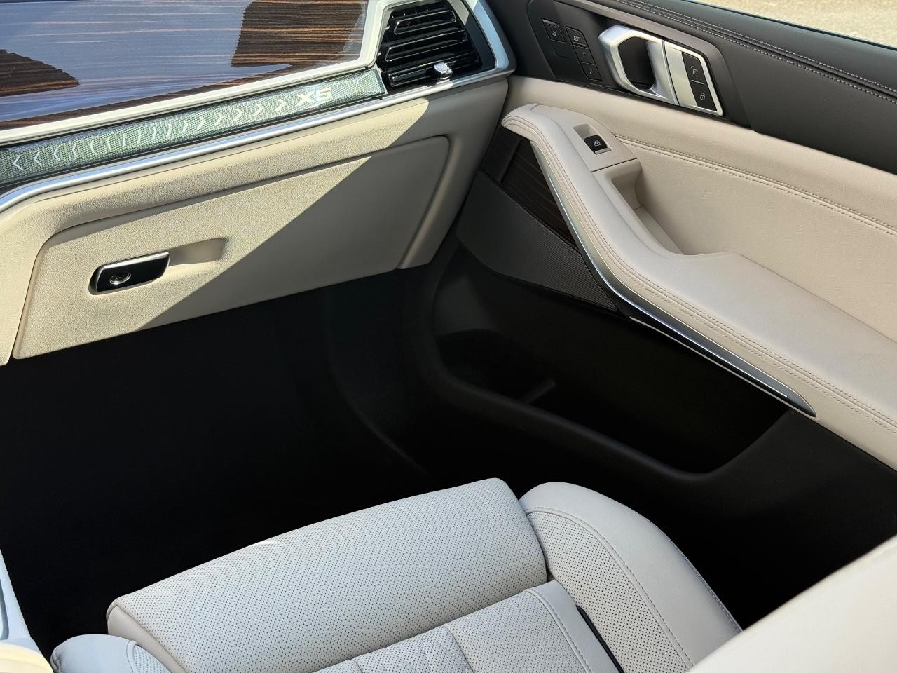 BMW X5 Vehicle Image 15