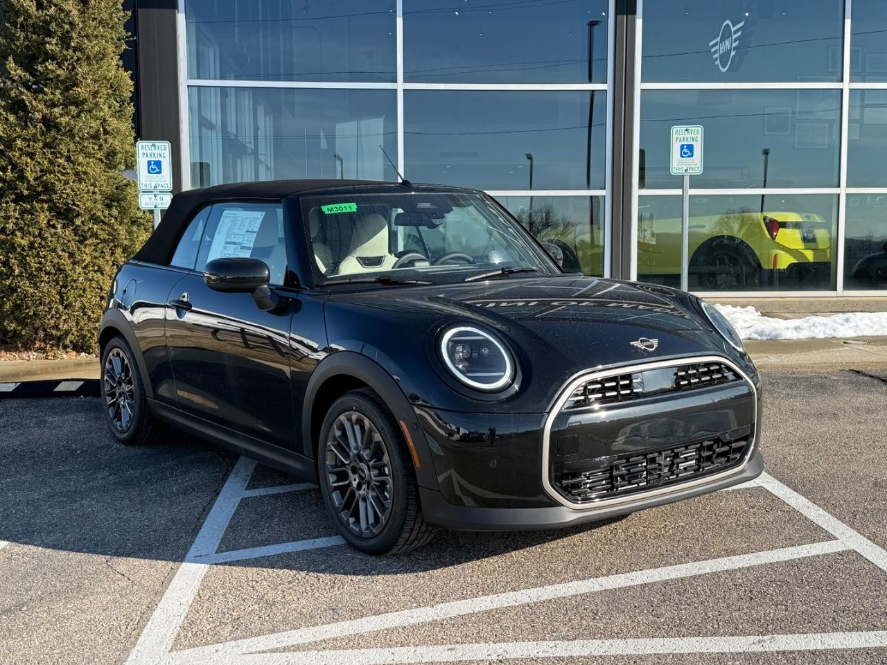 MINI Convertible Vehicle Image 05