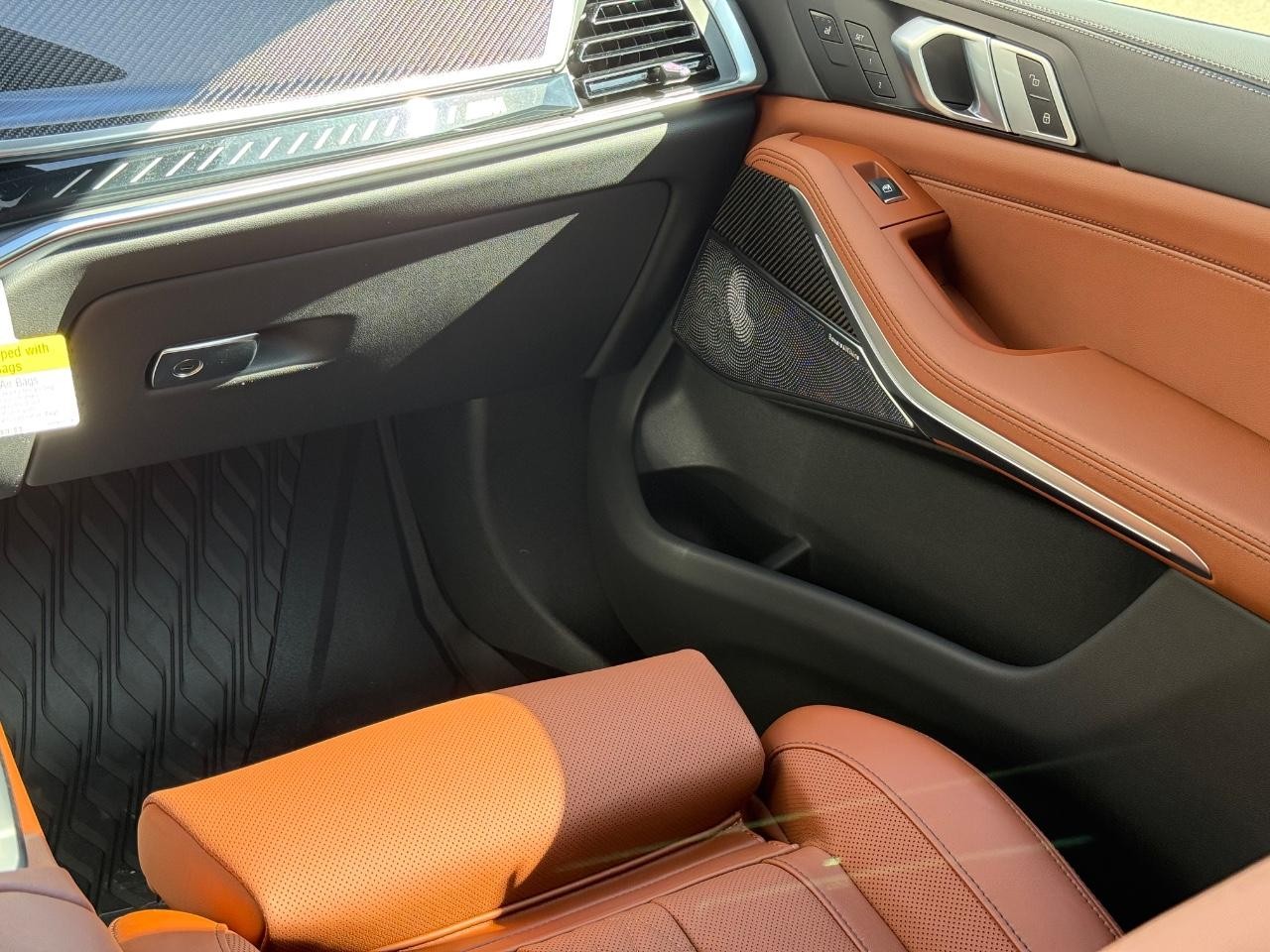 BMW X5 Vehicle Image 10