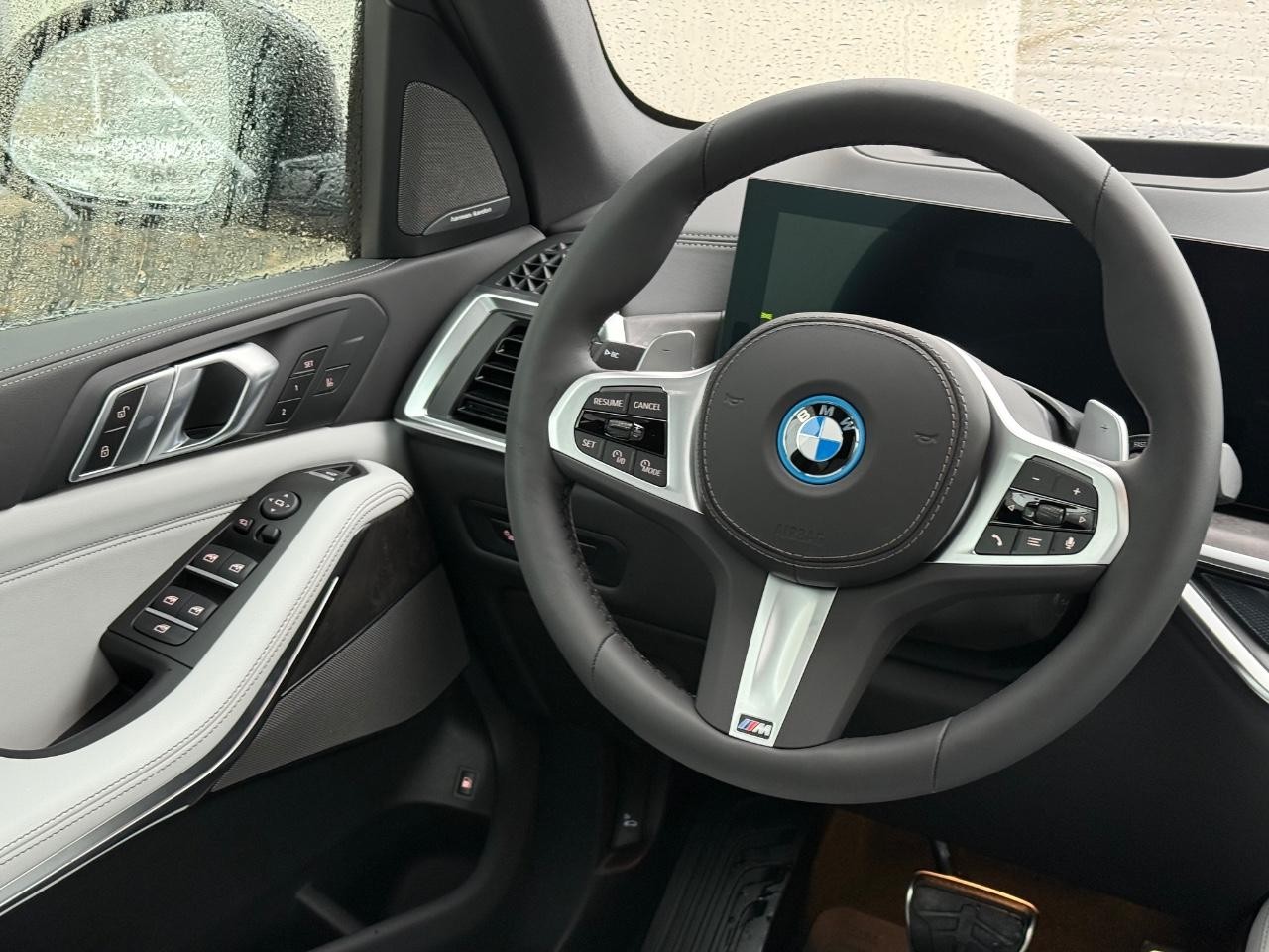 BMW X5 Vehicle Image 09