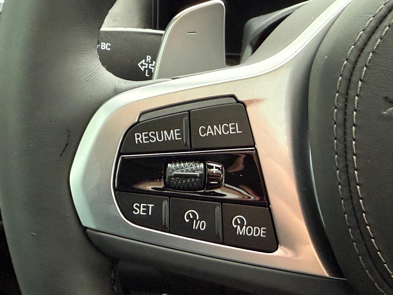 BMW X5 Vehicle Image 11