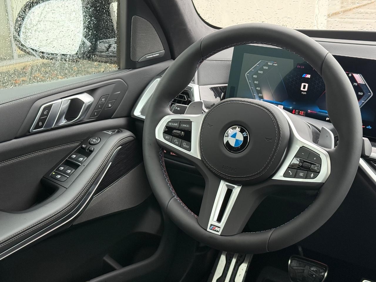 BMW X5 Vehicle Image 09