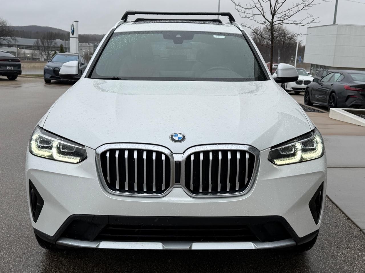 BMW X3 Vehicle Image 08