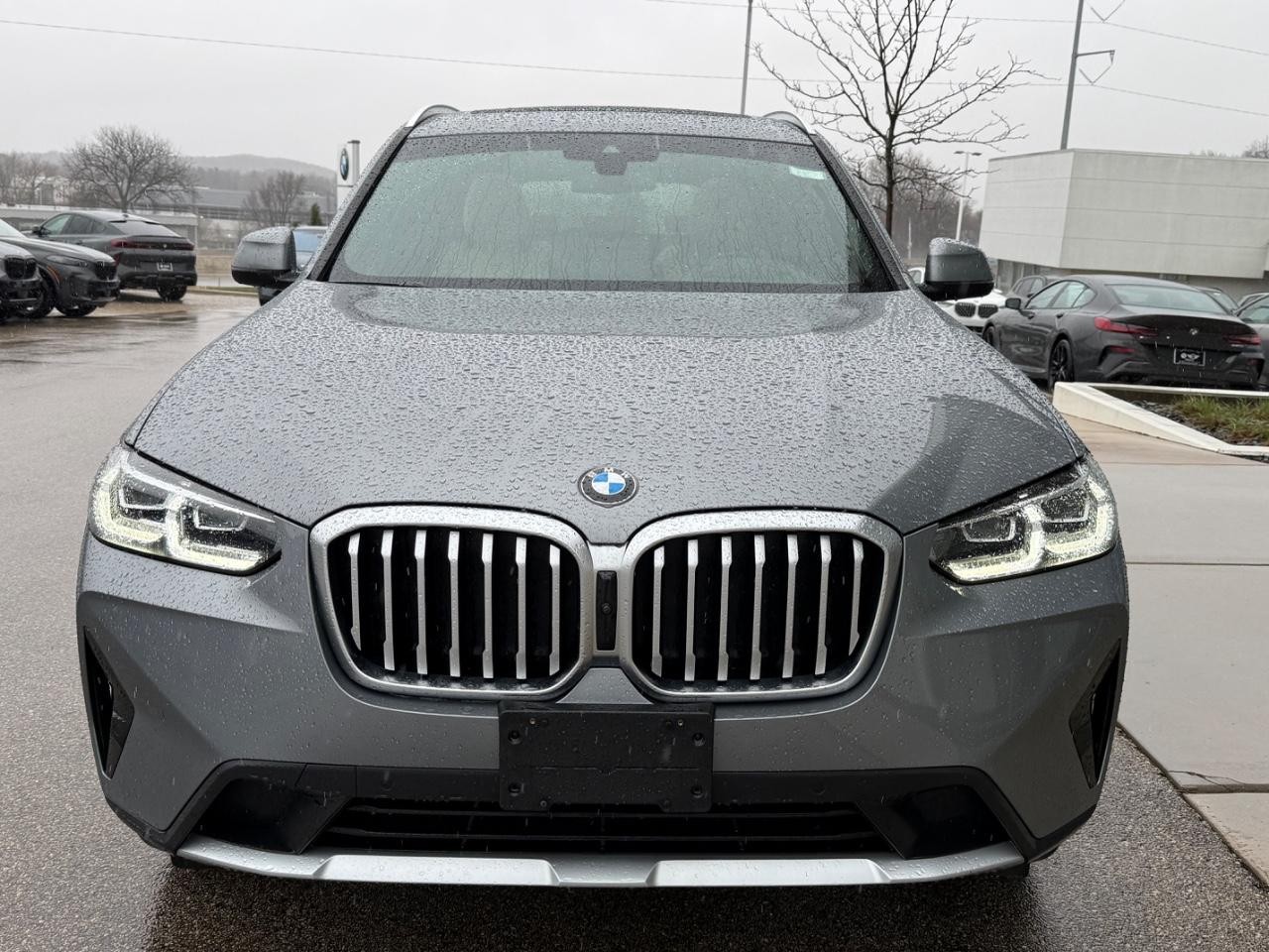 BMW X3 Vehicle Image 08