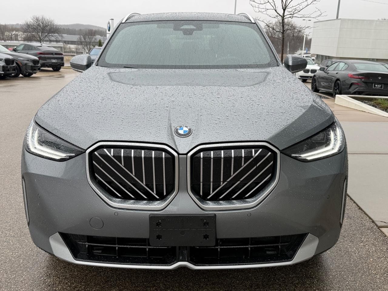 BMW X3 Vehicle Image 08