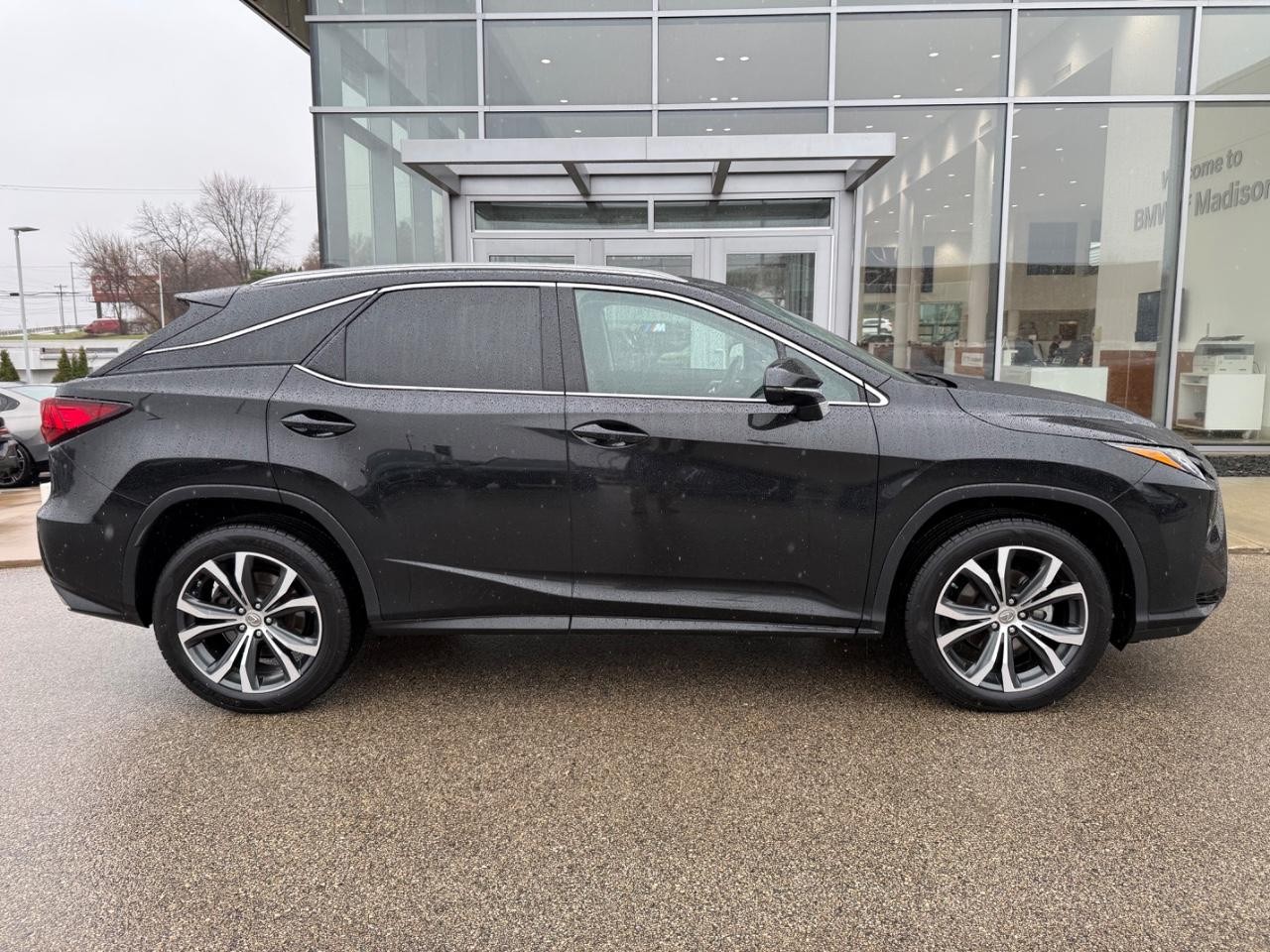 Lexus RX 350 Vehicle Image 02