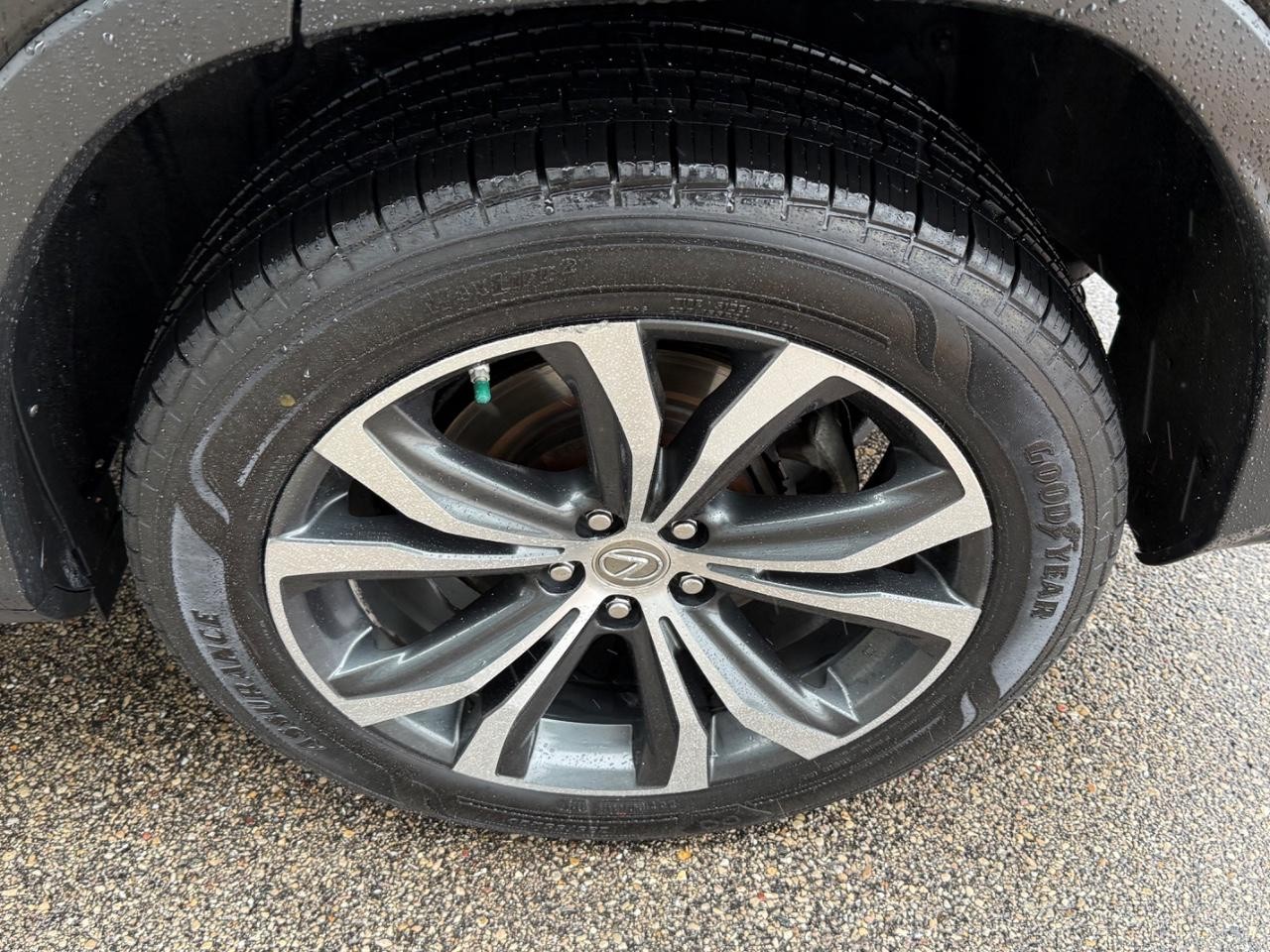 Lexus RX 350 Vehicle Image 06