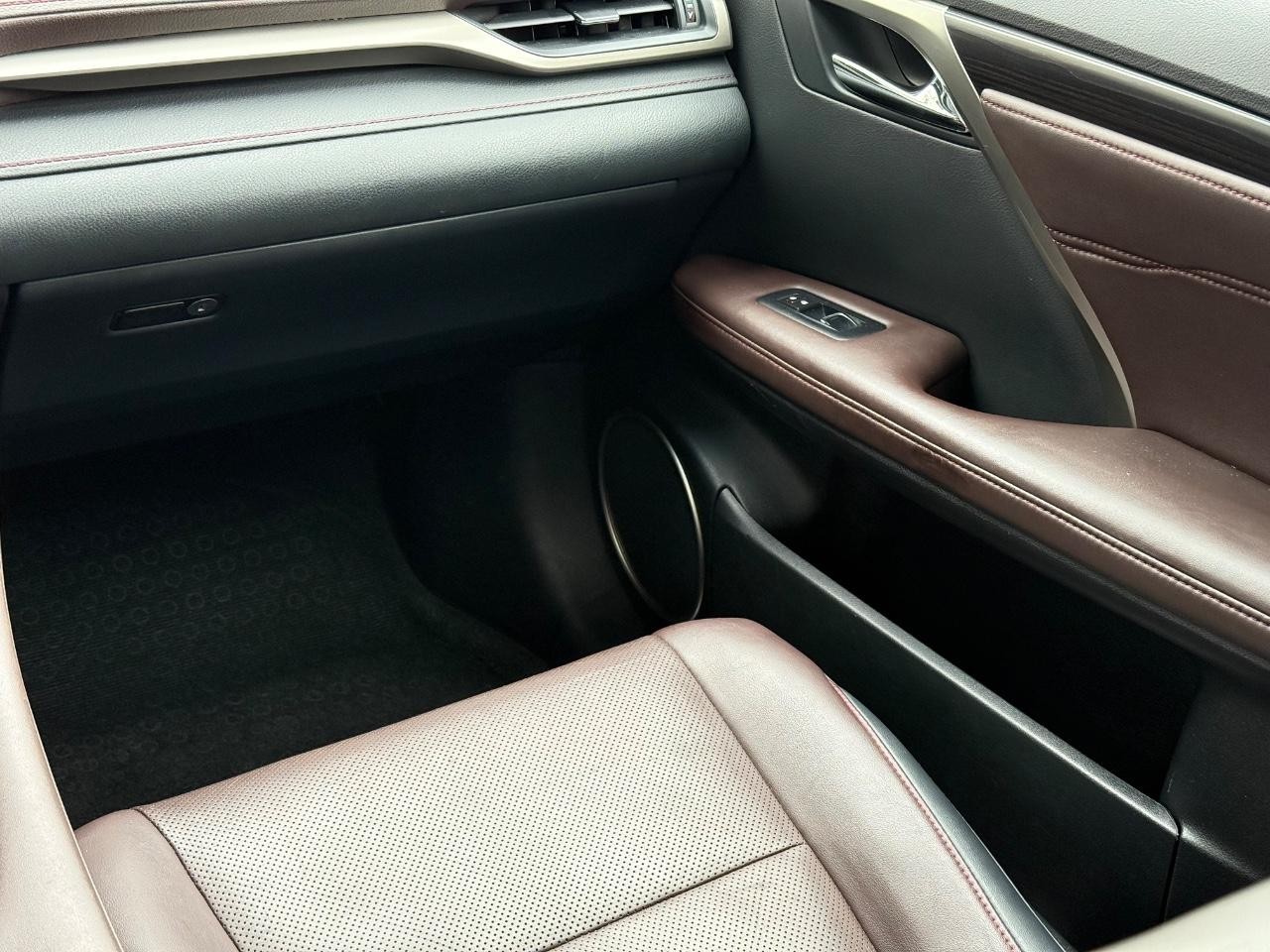 Lexus RX 350 Vehicle Image 14