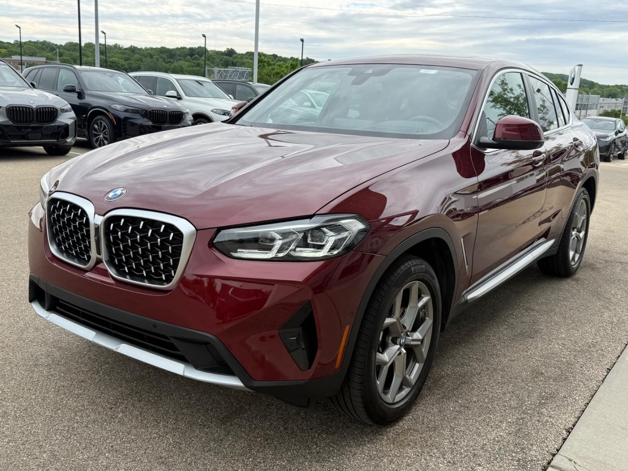 BMW X4 Vehicle Image 08