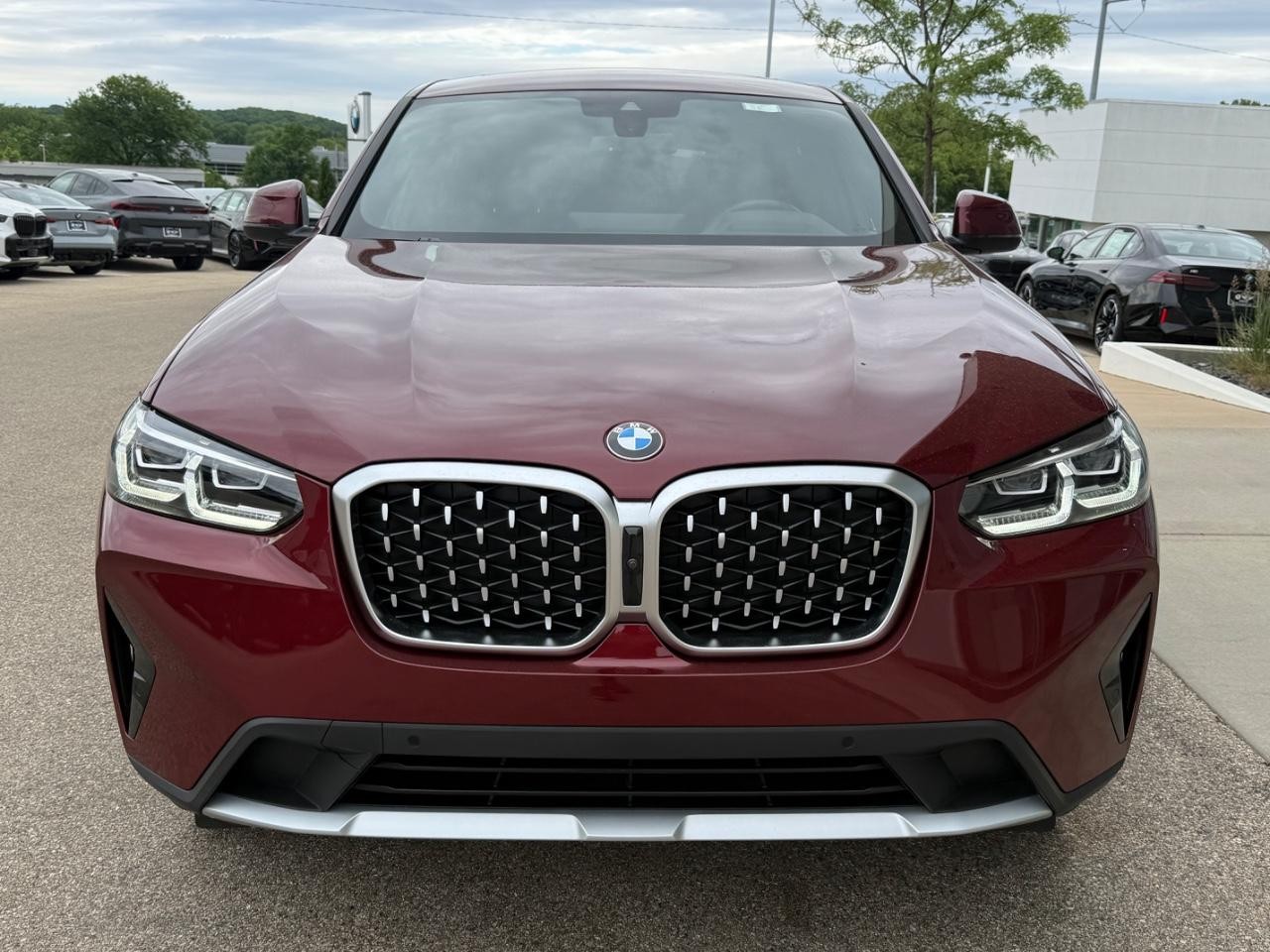 BMW X4 Vehicle Image 09
