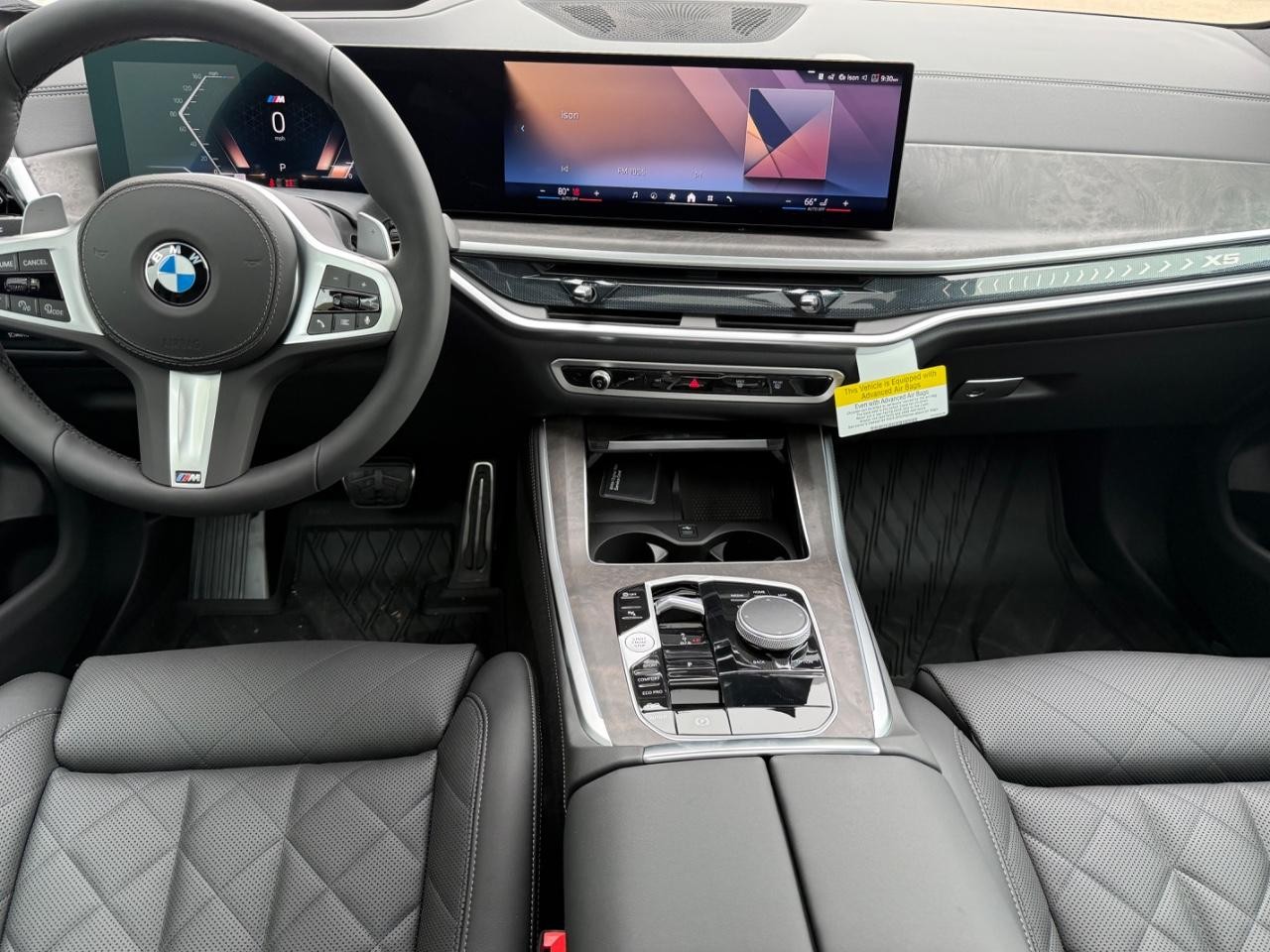 BMW X5 Vehicle Image 06