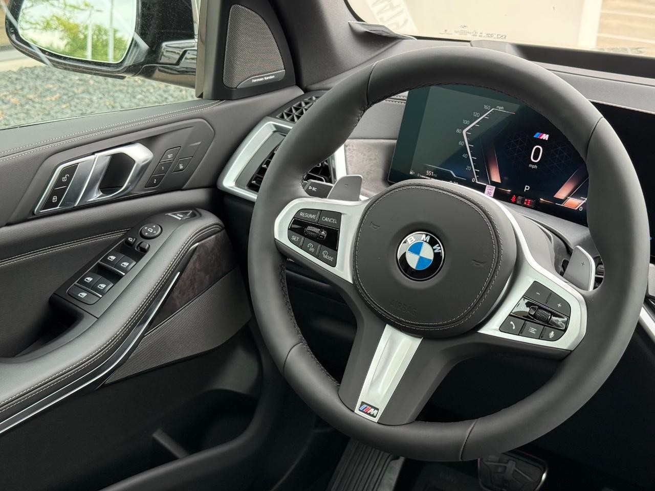 BMW X5 Vehicle Image 09