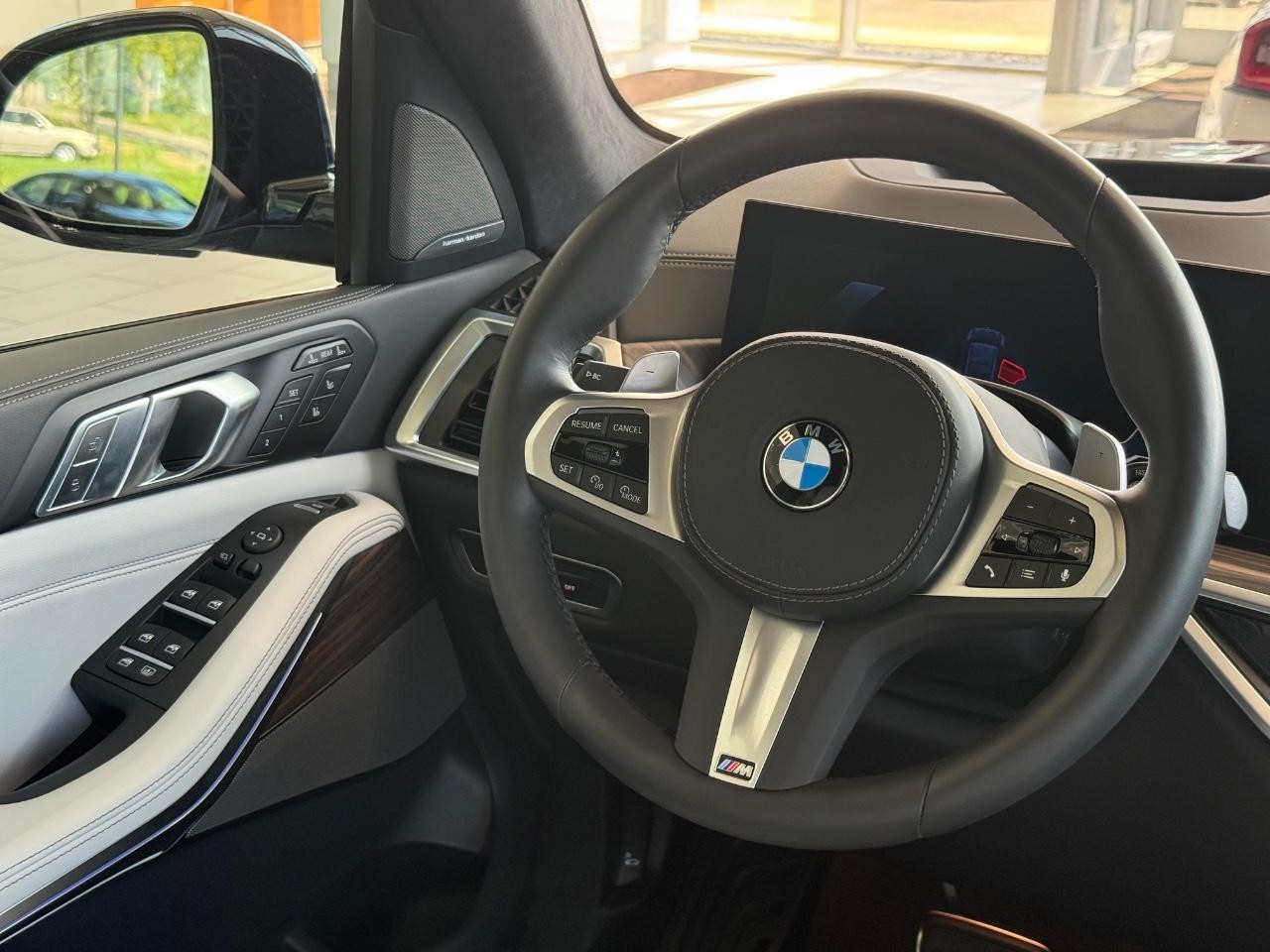 BMW X7 Vehicle Image 11