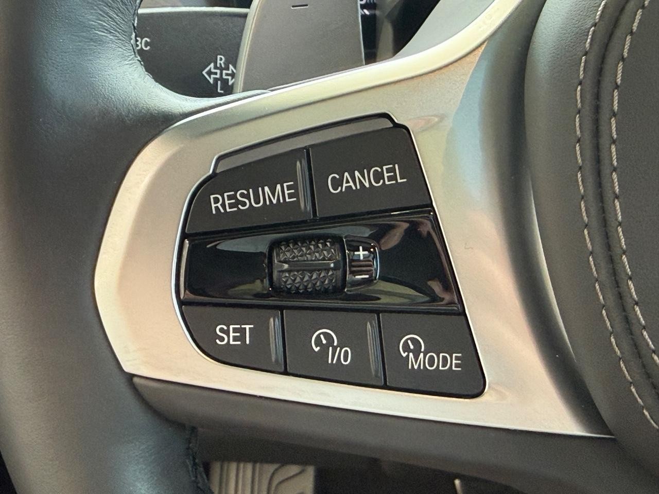 BMW X7 Vehicle Image 14