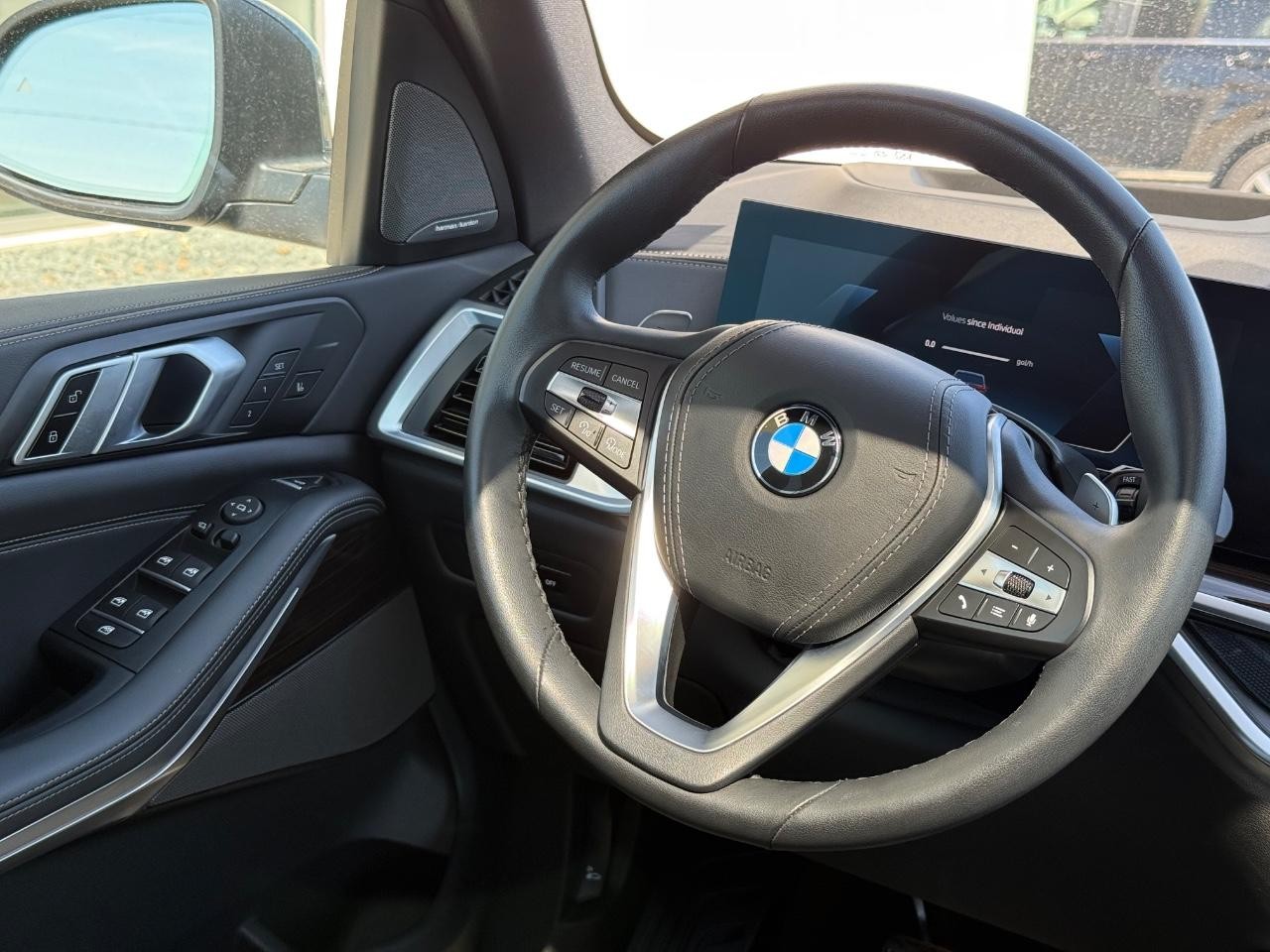 BMW X5 Vehicle Image 13