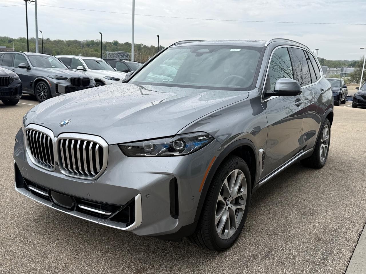 BMW X5 Vehicle Image 08
