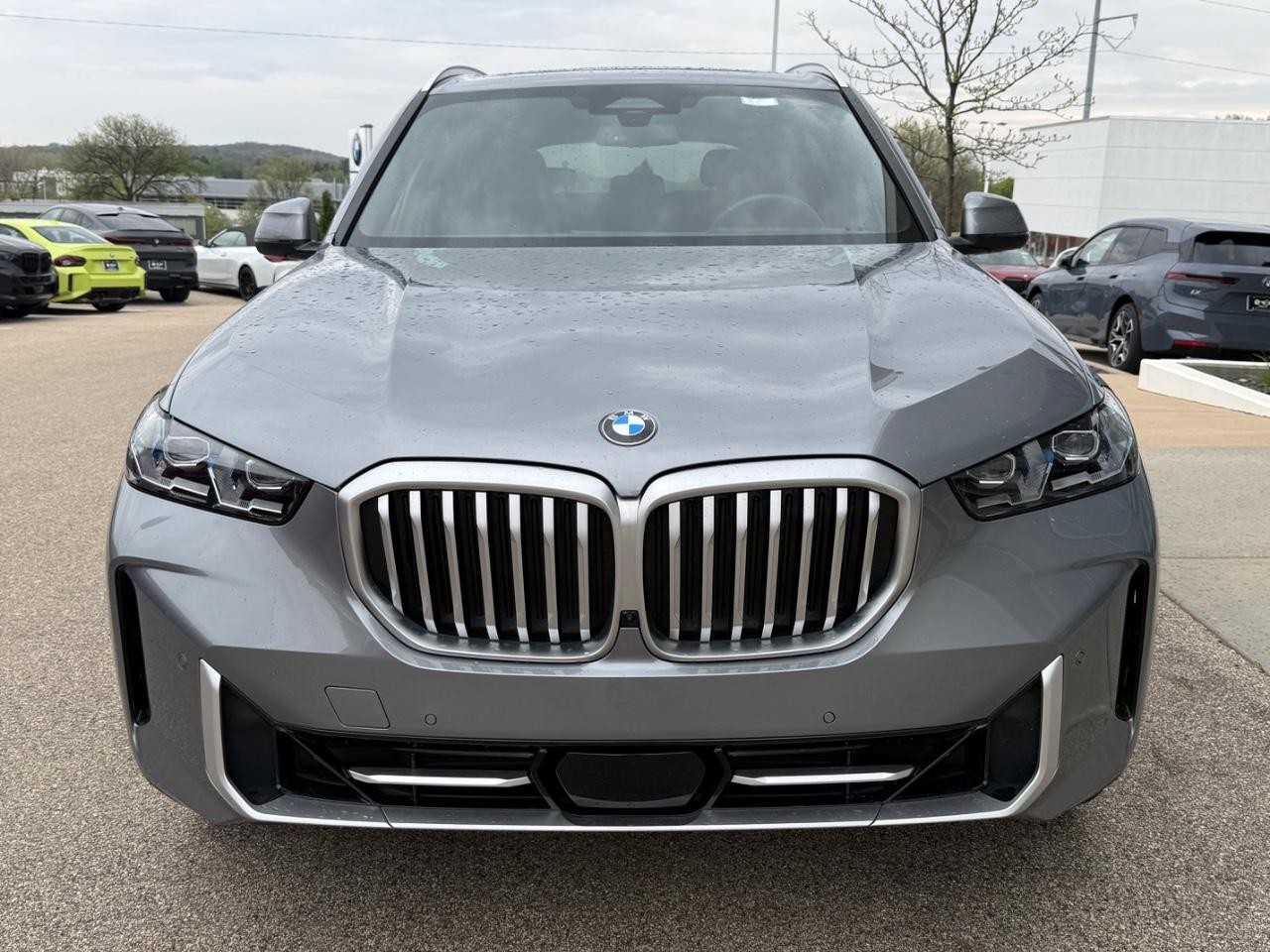 BMW X5 Vehicle Image 09