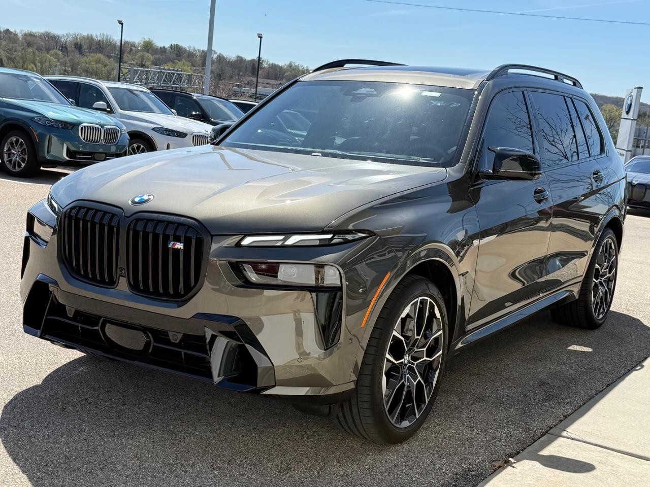 BMW X7 Vehicle Image 06