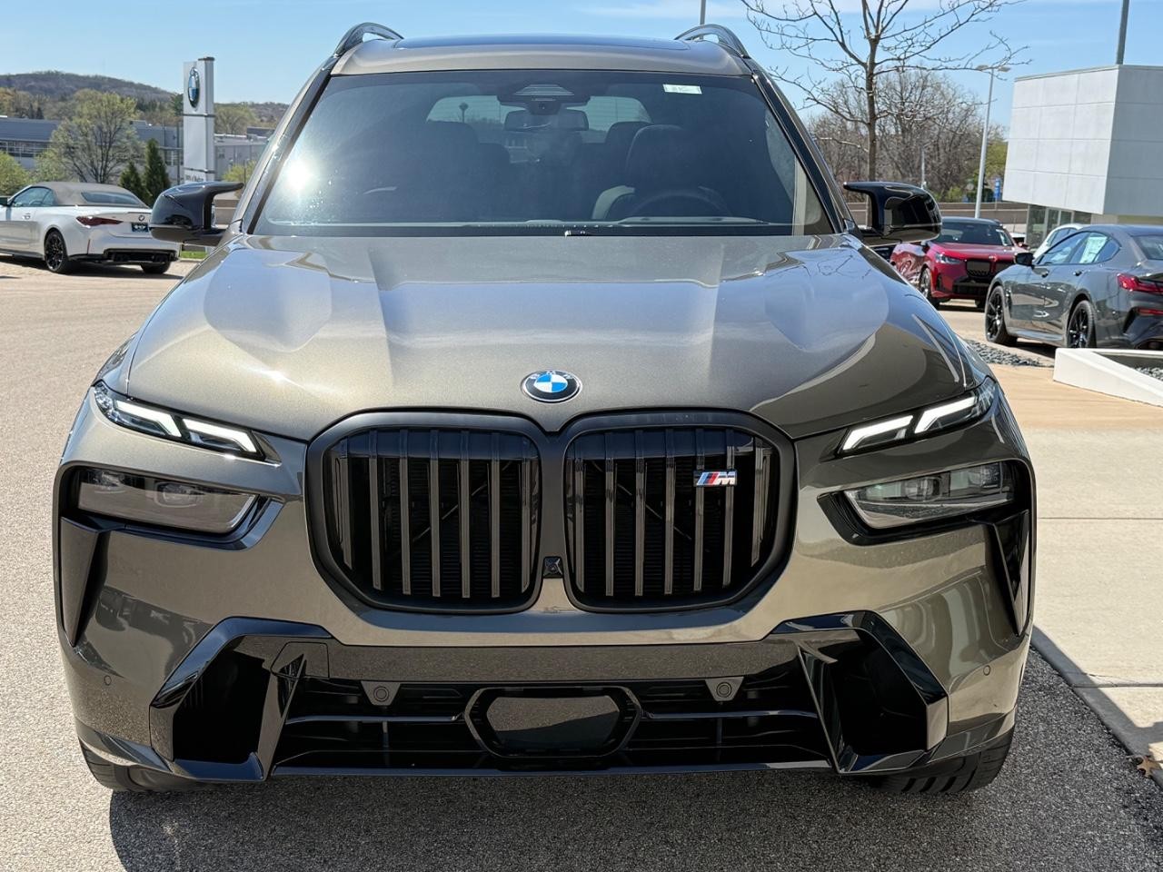 BMW X7 Vehicle Image 07